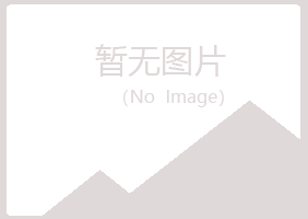 临沂兰山山柏工程有限公司